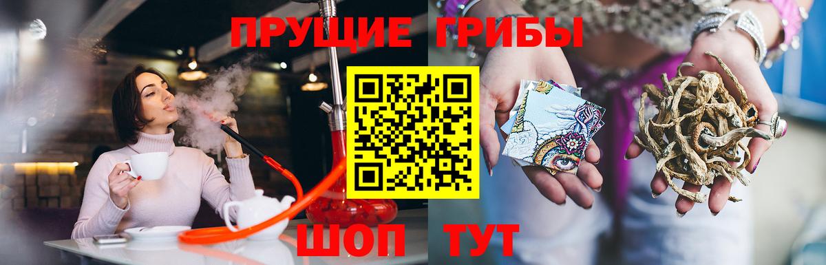 Галлюциногенные грибы ЛСД  Вход с VPN  Саров  Галлюциногенные грибы GOLDEN TEACHER 